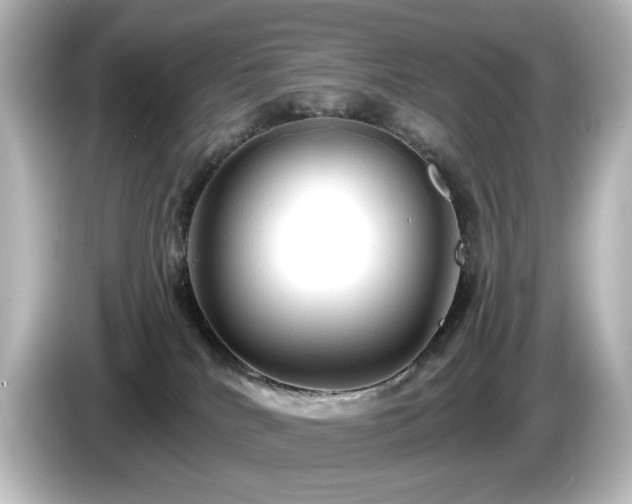 X0000085770040200703161153