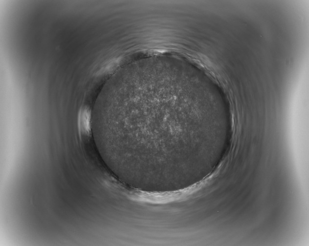 X0000085770041200703161152