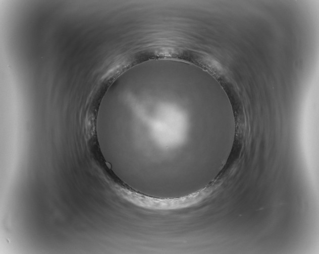 X0000085770043200703161152