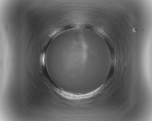 X0000085770047200703161152