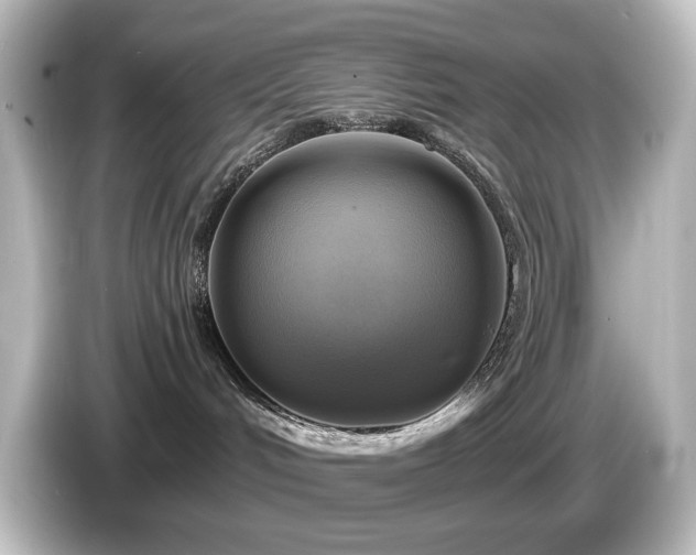 X0000085770048200703161152