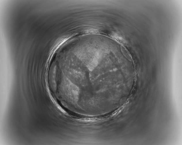 X0000085770049200703161152