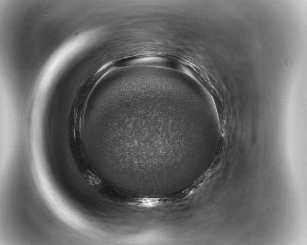 X0000085770052200703161152