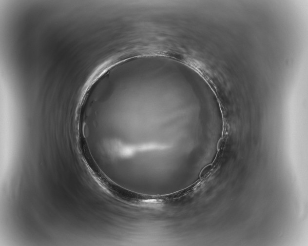 X0000085770053200703161152