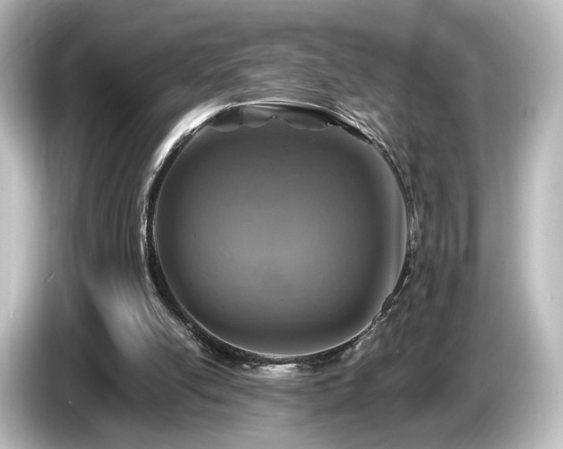 X0000085770054200703161152