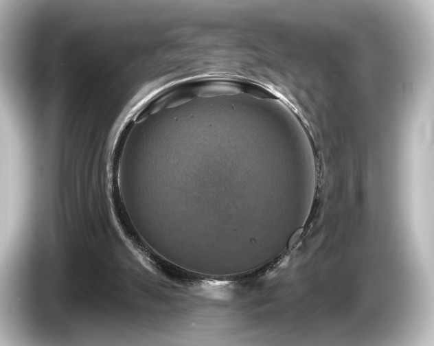 X0000085770055200703161152