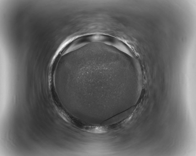 X0000085770056200703161152