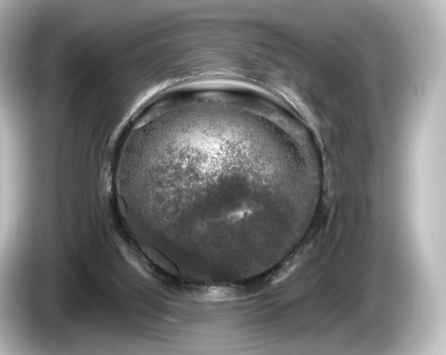 X0000085770060200703161152