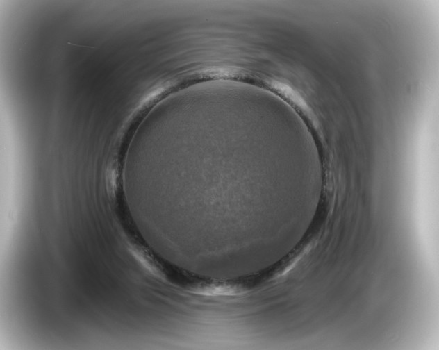 X0000085770063200703161152