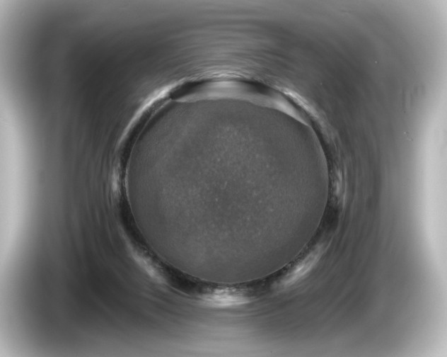 X0000085770064200703161152