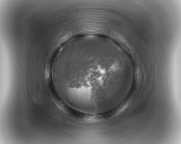 X0000085770072200703161152