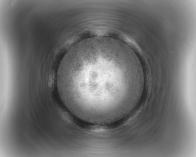 X0000085770073200703161152