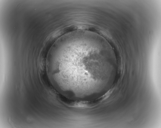 X0000085770078200703161152