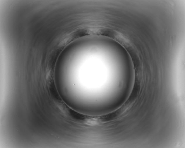 X0000085770079200703161152