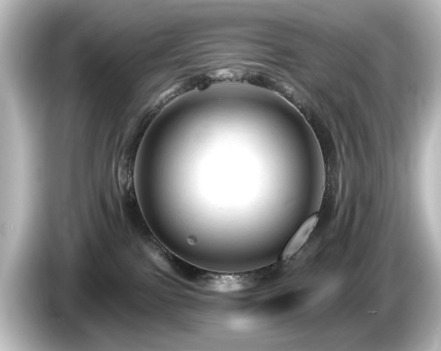 X0000085770091200703161152