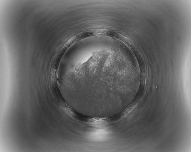 X0000085770093200703161152