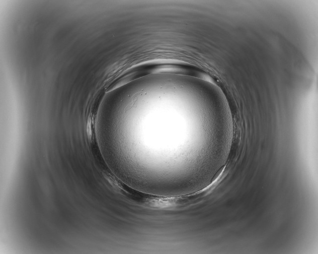 X0000085770094200703161152