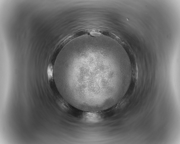 X0000085770095200703161152