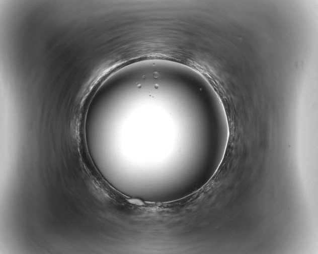 X0000085770098200703161152