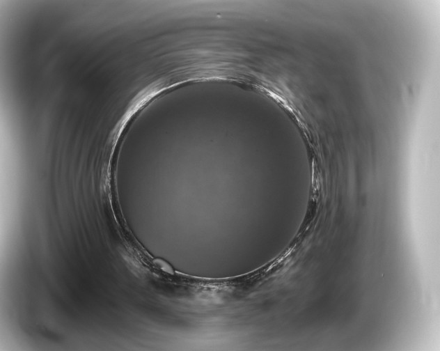 X0000085770099200703161152