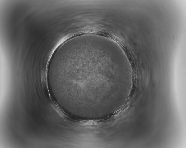 X0000085770100200703161152