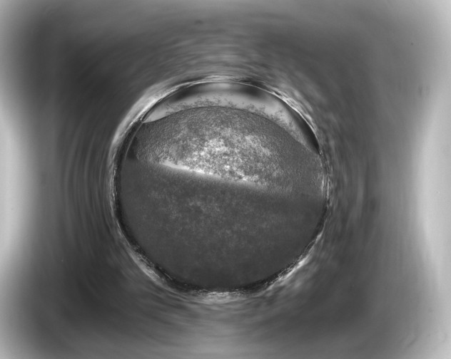 X0000085770101200703161152