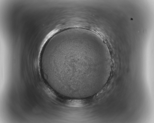 X0000085770104200703161152