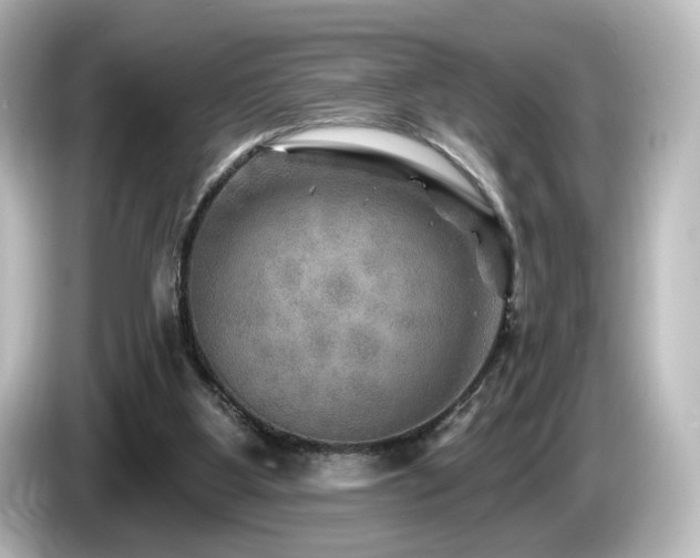 X0000085770107200703161152