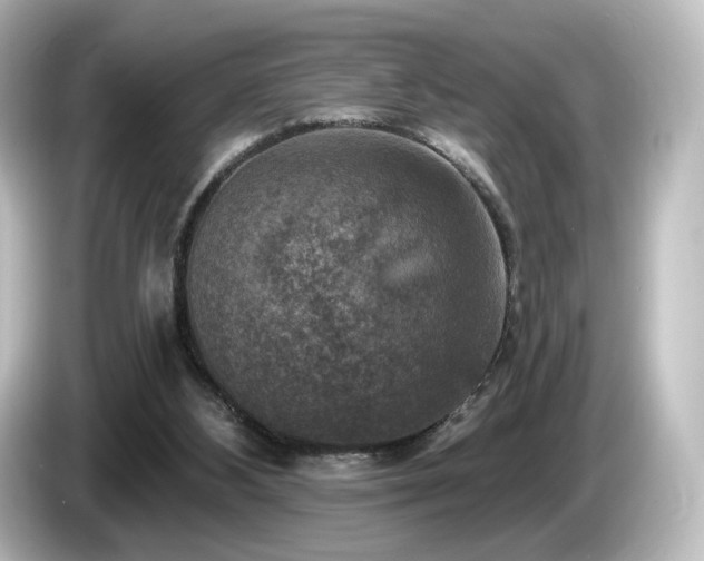 X0000085770108200703161152