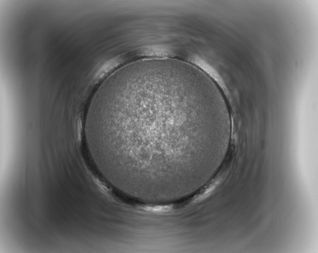 X0000085770109200703161152