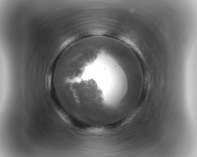 X0000085770110200703161152