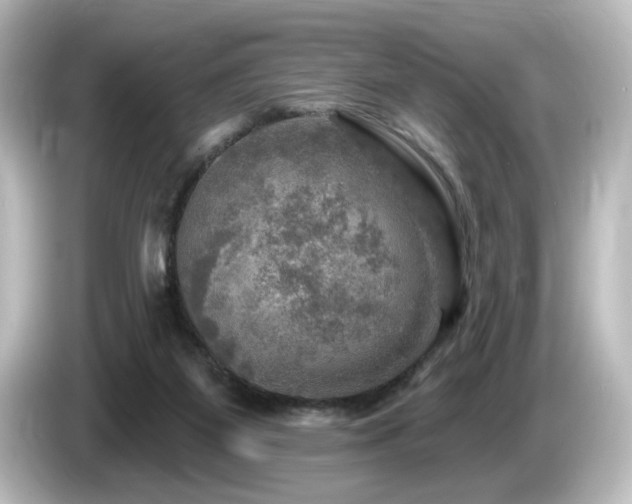 X0000085770115200703161151