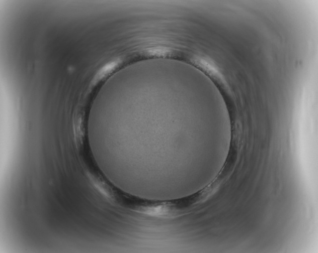 X0000085770116200703161151