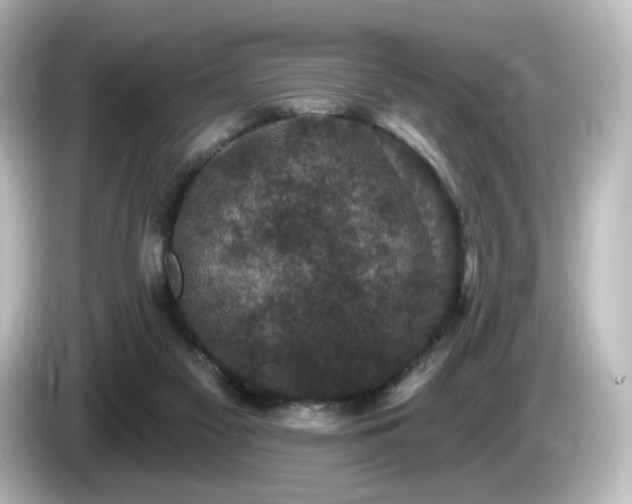 X0000085770117200703161151