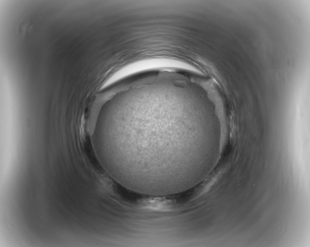 X0000085770121200703161151