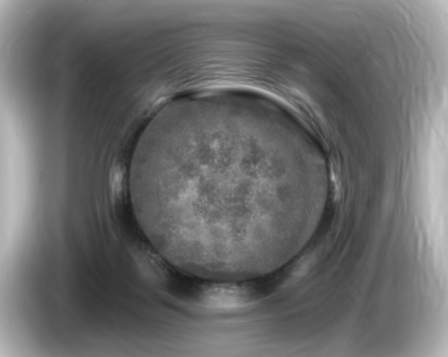 X0000085770123200703161151