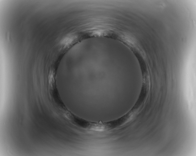 X0000085770127200703161151