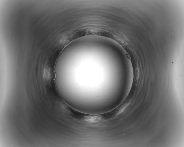 X0000085770135200703161151