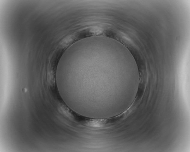 X0000085770136200703161151