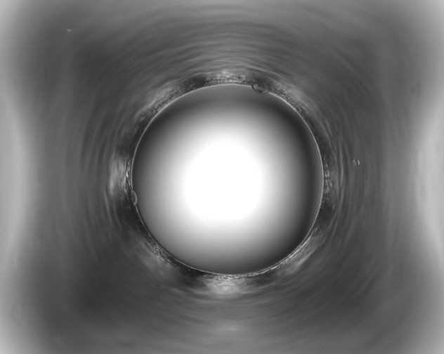 X0000085770142200703161151