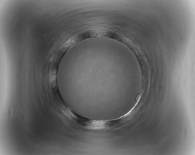 X0000085770144200703161151