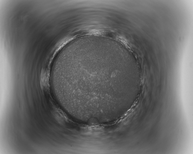 X0000085770146200703161150