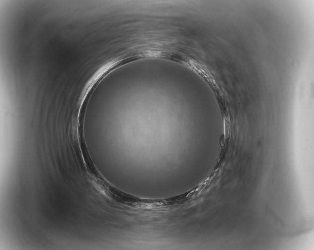 X0000085770147200703161150