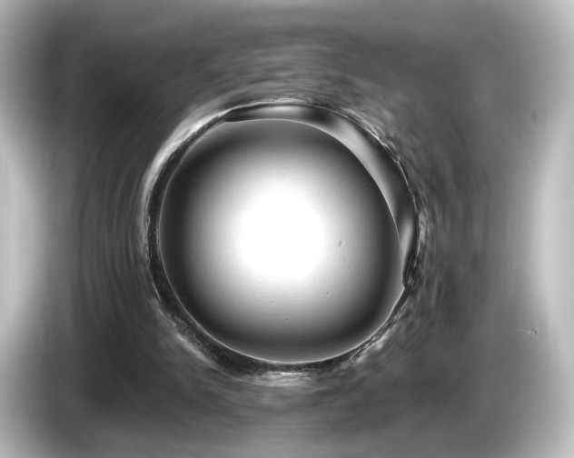 X0000085770150200703161150