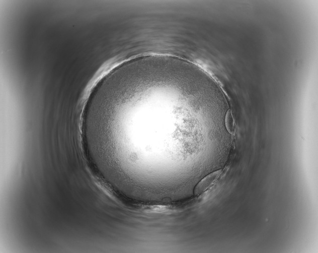 X0000085770151200703161150