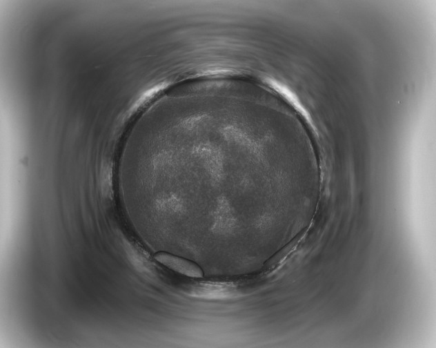 X0000085770154200703161151