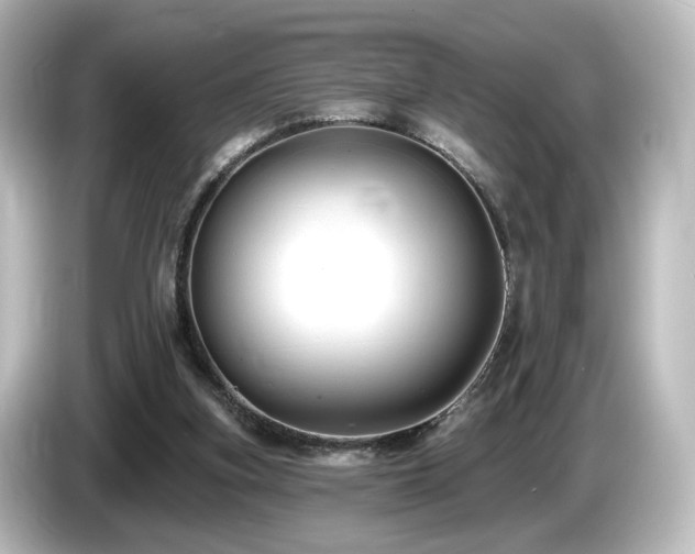 X0000085770155200703161151