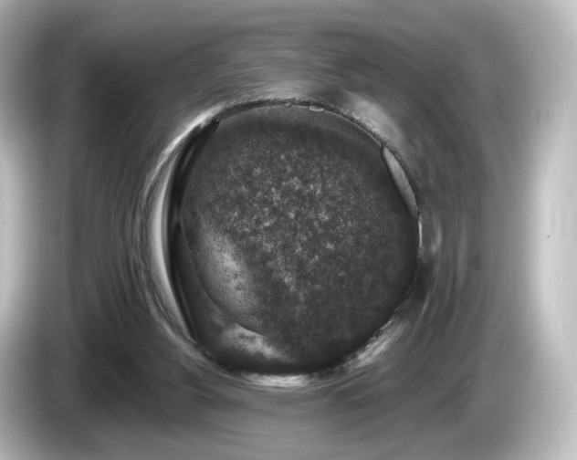 X0000085770156200703161151