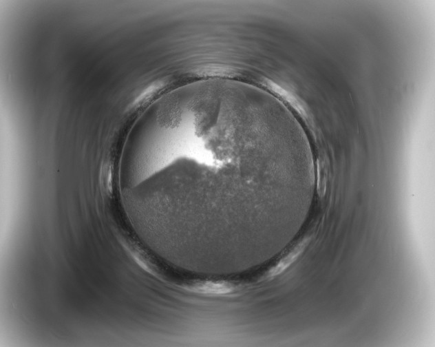 X0000085770157200703161151