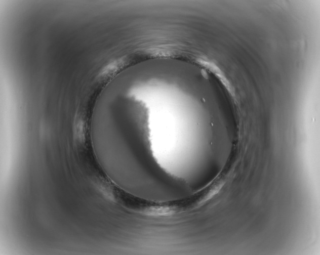 X0000085770161200703161151